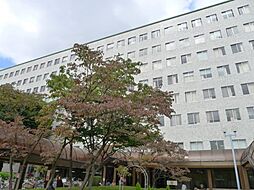 【総合病院】日本大学医学部附属板橋病院まで429ｍ