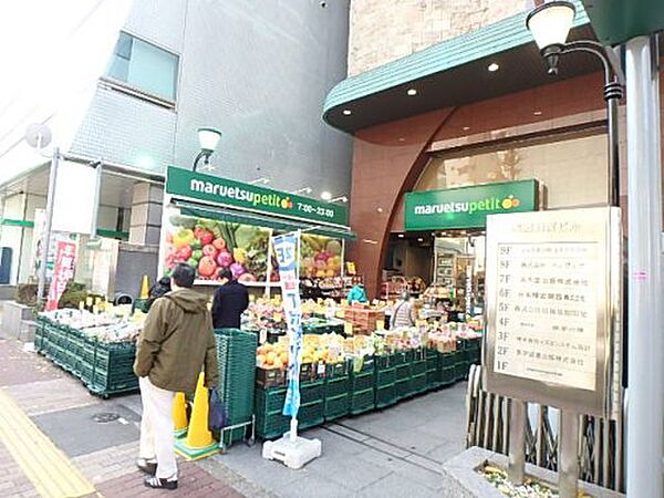 画像19:【スーパー】マルエツ プチ 本郷二丁目店まで357ｍ