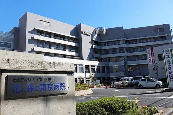 画像27:【総合病院】花と森の東京病院まで714ｍ