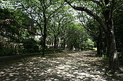 萱田第一緑地水神広場170m徒歩3分