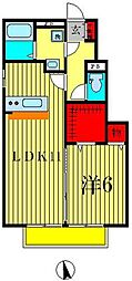 S・V・P・ナイン 1LDKの間取図画像