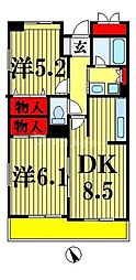 パインエクセレント 2DKの間取図画像