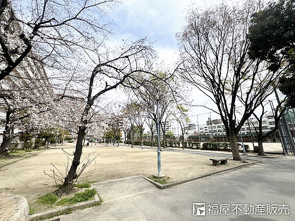 周辺を拡大表示