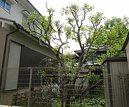 京都府京都市山科区小山鎮守町（賃貸マンション1LDK・1階・46.77㎡） その27