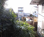 庭からの眺めです。