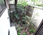 1階の小庭です