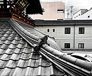 ・203号室からの眺望です