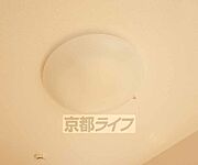 照明付・