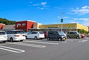 ヤオコー染井野店