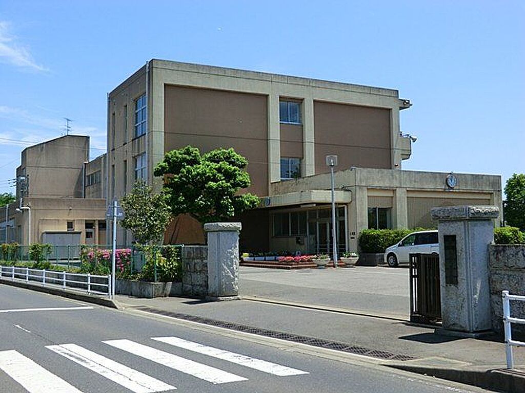 Image 6