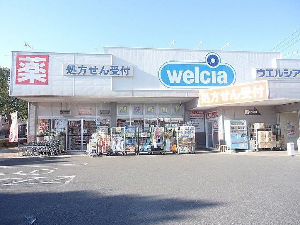 Image 11