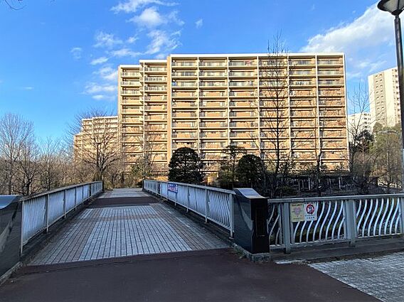 遊歩道からのア...