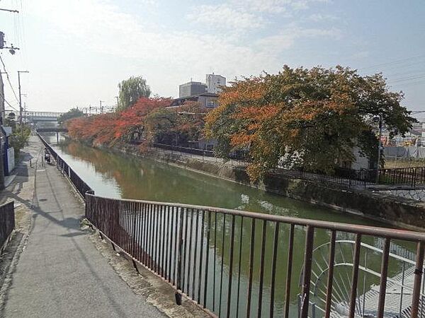 京都府京都市伏見区淀下津町(賃貸マンション1K・2階・21.78㎡)の写真 その21