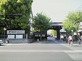 京都府京都市下京区下鱗形町548番2号（賃貸マンション1K・2階・18.93㎡） その18