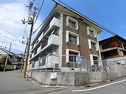 6 / 20