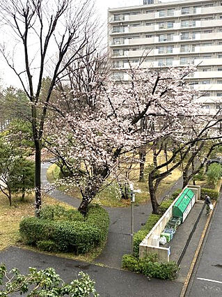 バルコニーから...