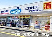 周辺環境:ドラッグストア 850m ウエルシア坂戸鶴舞厚川店(徒歩12分　日用品のお買い物に便利です！)