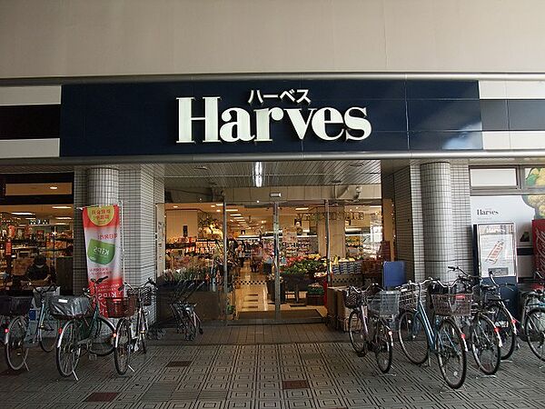 画像15:Harves（ハーベス） 大久保店（507m）