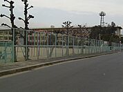 城陽市立今池小学校（766m）
