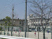 城陽市立青谷小学校（588m）