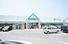 周辺：サニー舞松原店 1137m