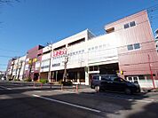 いなげや新ゆりヨネッティー王禅寺前店まで約907～966ｍ