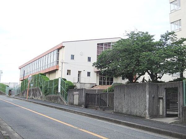 画像18:【中学校】阪南市立鳥取東中学校まで302ｍ