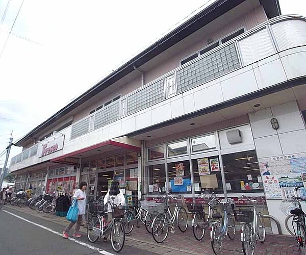 画像22:フレスコ 嵯峨店まで234m 京福鹿王院駅の北側にございます。