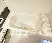 3点セパレート