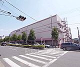 イズミヤ　高野店まで460m 買い物便利な高野の大型スーパーです