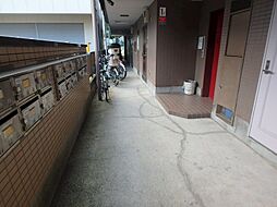 5 / 16