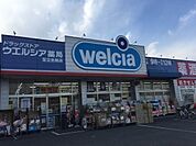 ウエルシア 足立島根店（255m）