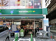 マルエツプチ白金台プラチナ通り店