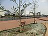 周辺：港南緑水公園