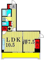 流鉄カーサ新松戸 1LDKの間取図画像