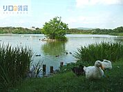 伊丹市昆虫館 715m