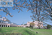私立大阪芸術大学短期大学部伊丹学舎 410m