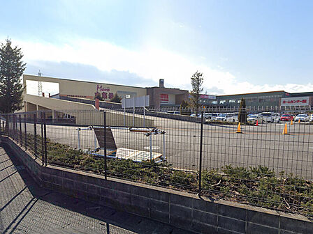 マム肉市場 橋本店(750m)