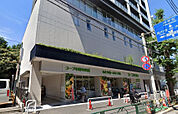 コープ中野中央店（210m）