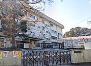 武蔵野市立第二小学校（366m）