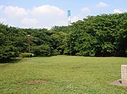 砧公園（415m）