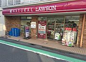 ナチュラルローソン 九品仏小前店（280m）