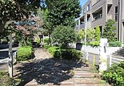 呑川駒沢支流緑道（148m）