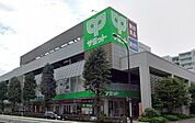 サミットストア砧環八通り店（254m）