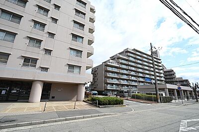 外観 外観