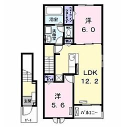 チェレステ白髭　A