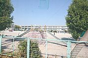 大治町立大治南小学校 525m