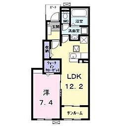 ルミエール中野新町 1階/-