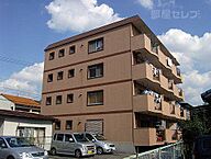愛知県名古屋市中川区花池町3丁目5：物件画像／部屋セレブ中村店　株式会社S-point