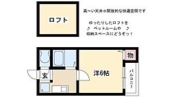 ペルカルロ 1階/-